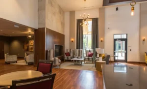 Buena Vista Recovery, LLC