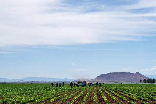 Chiricahua Community Health Centers, INC