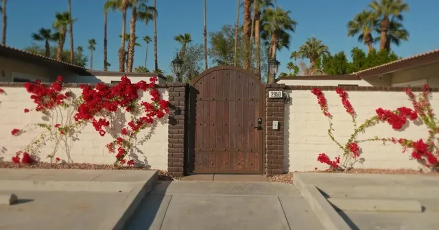 Desert Willow Wellness