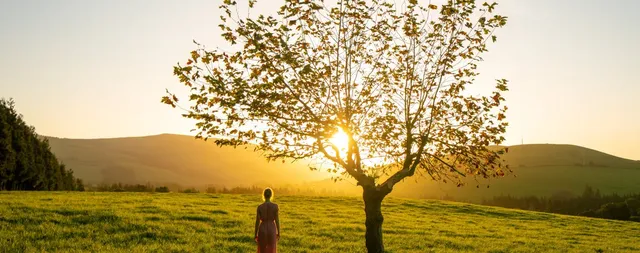 Holistic Pathways