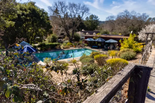 Live Oaks Wellness