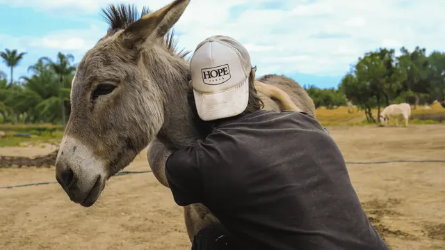 The Hope Ranch Recovery